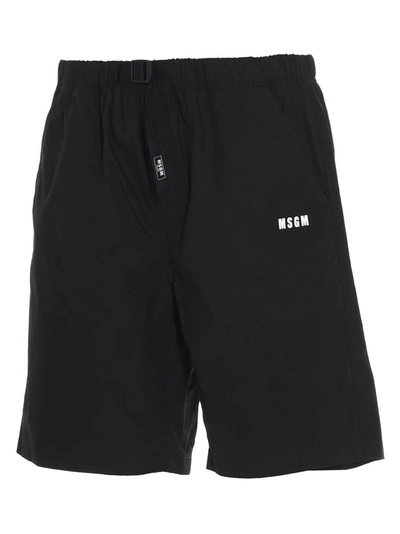 Shop Msgm Logo Printed Shorts In Black