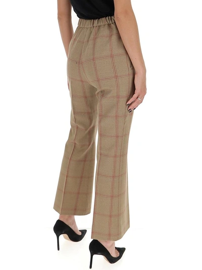 Shop Marni Cropped Checked Flare Pants In Brown