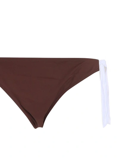 Shop Max Mara Beachwear Logo Detailed Bikini Bottom In Brown