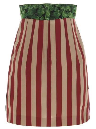 Shop Dolce & Gabbana Floral Print Pleated Mini Skirt In Multi
