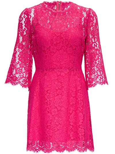 Shop Dolce & Gabbana Lace Embroidered Mini Dress In Pink