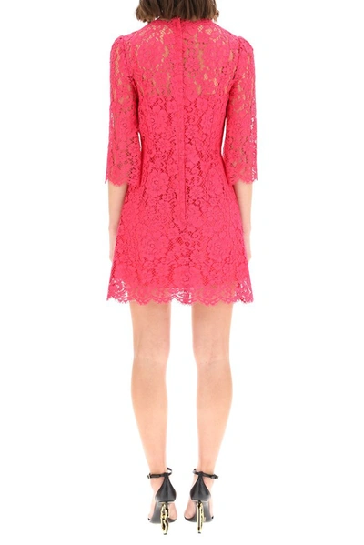 Shop Dolce & Gabbana Lace Embroidered Mini Dress In Pink