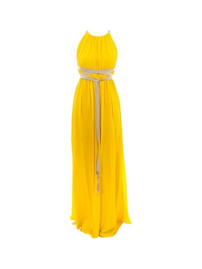 Shop Max Mara Orde Halterneck Maxi Dress In Yellow