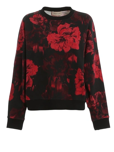 Shop Alexandre Vauthier Floral Print Sweatshirt In Multi