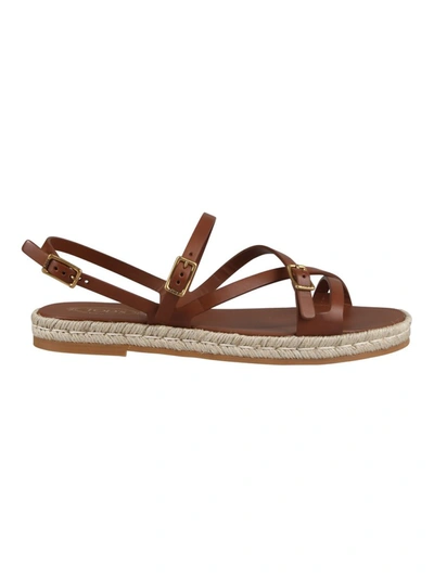 Shop Tod's Strapped Sandals In Brown