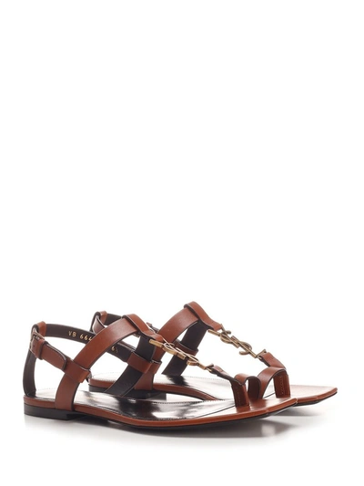 Shop Saint Laurent Cassandra Flat Sandals In Brown