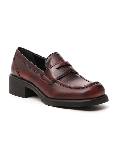 Shop Miu Miu Penny Bar Loafers In Brown