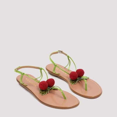 Shop Aquazzura Manzanita Flat Sandals In Multi