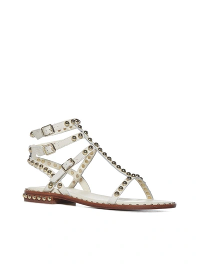 Shop Ash Play Studded Sandals In White