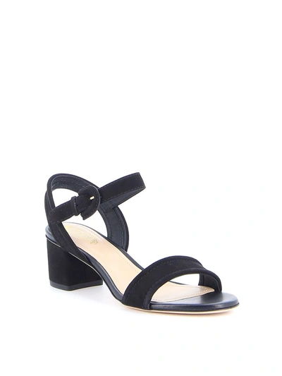 Shop Tod's Strapped Sandals In Black