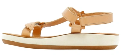 Shop Ancient Greek Sandals Poria Comfort Sandals In Beige