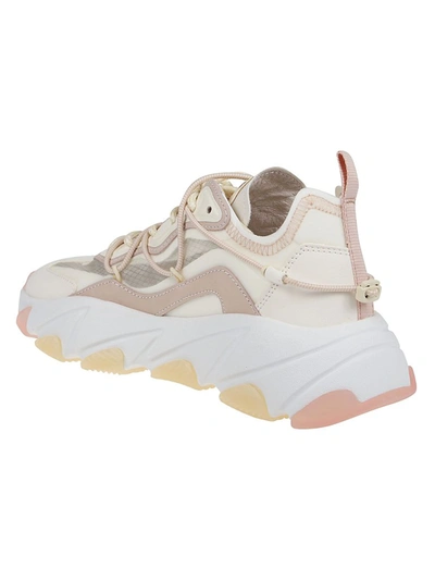 Shop Ash Extra Bis Sneakers In Multi