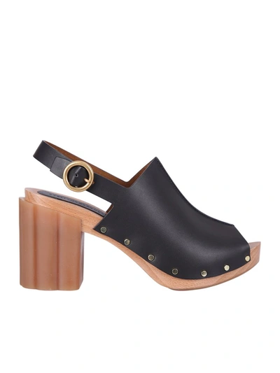 Shop Stella Mccartney Daisy Stud Sandals In Black