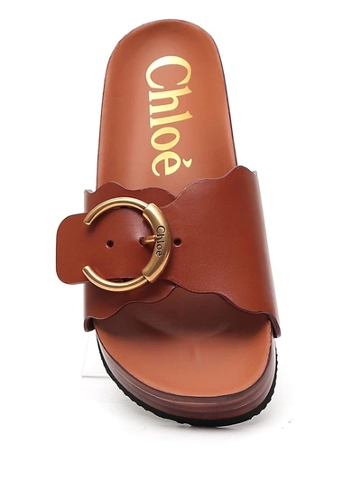 Shop Chloé Lauren Footbed Mule Sandals In Brown