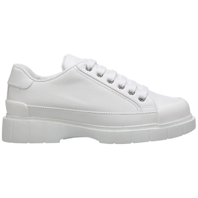 Shop Car Shoe Lace In White