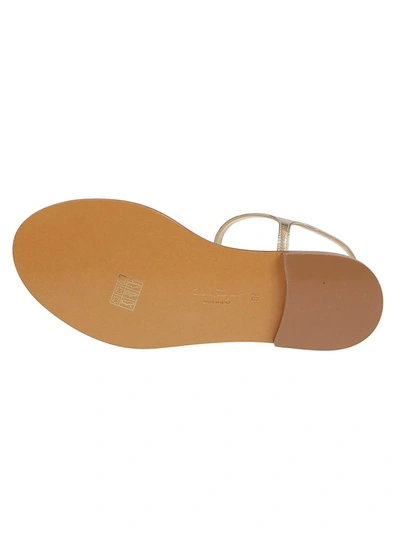 Shop Ferragamo Salvatore  Tremiti Sandals In Gold