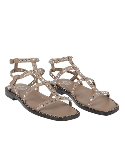 Shop Ash Maeva Studded Sandals In Brown