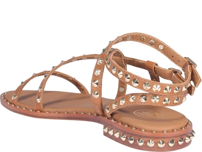 Shop Ash Petra Studded Sandals In Brown