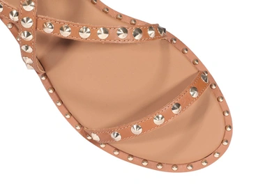 Shop Ash Petra Studded Sandals In Brown