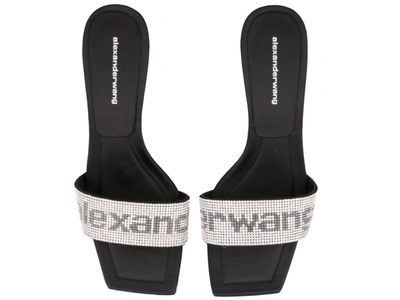 Shop Alexander Wang Jessie Crystal Slide Sandals In Multi