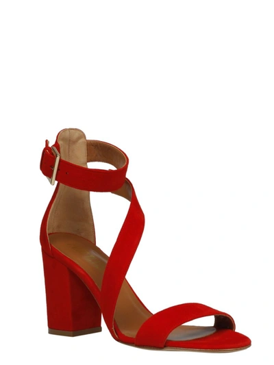 Shop Paris Texas Diagonal Strap Sandals In Red