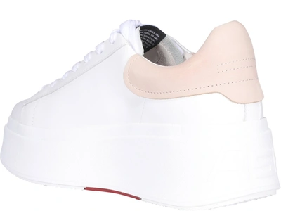 Shop Ash Moby Low In White