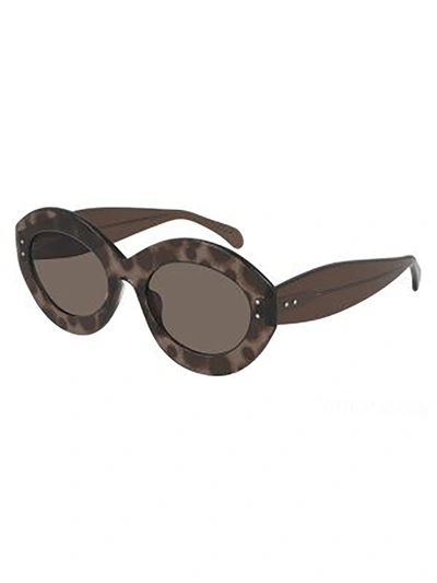Shop Alaïa Aa0004s Sunglasses In Brown Brown Brown