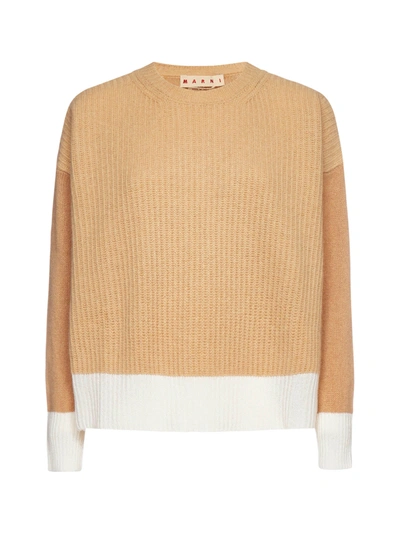 Shop Marni Sweater In Biscuit