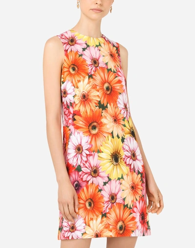Shop Dolce & Gabbana Short Cady A-line Dress With Gerbera-daisy Print In Multicolor