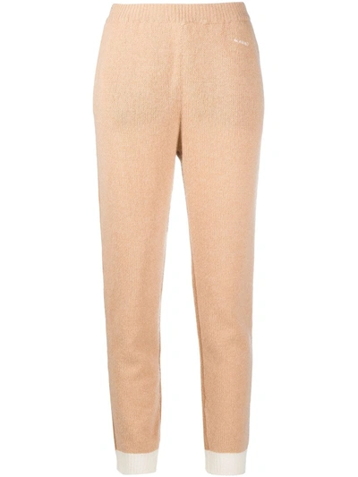 Shop Marni Ribbed-knit Cashmere Trousers In Neutrals