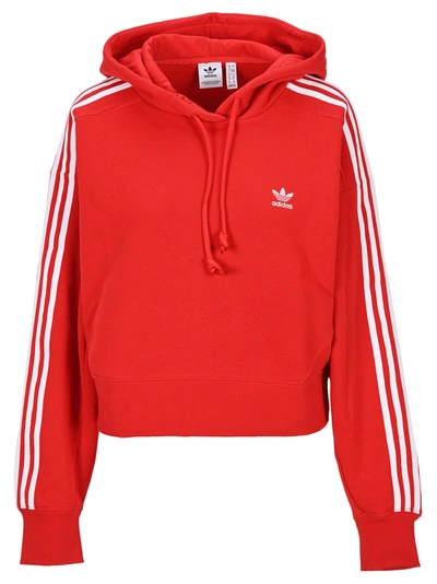 Shop Adidas Originals Classic Adicolor Cropped Hoodie In Red