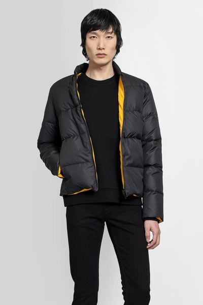 Shop Fendi Jackets In Yellow