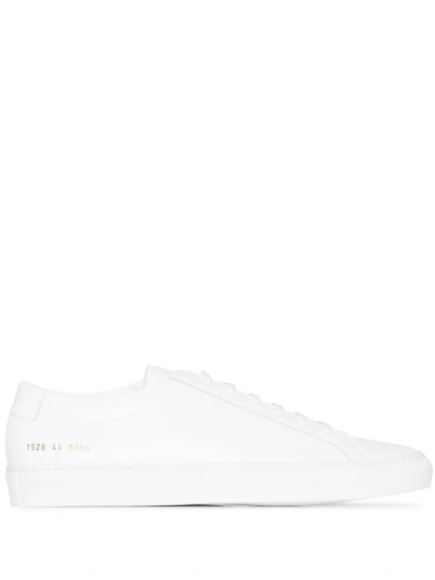 Shop Common Projects White Achilles Sneakers