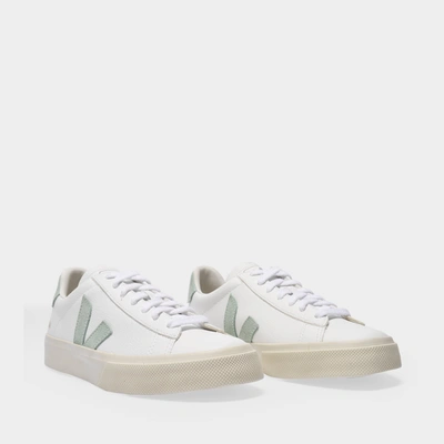 Veja Campo Sneakers In Multicoloured