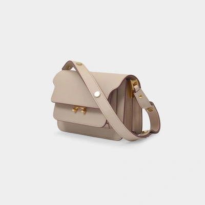 Shop Marni Trunk Mini Bag In Beige