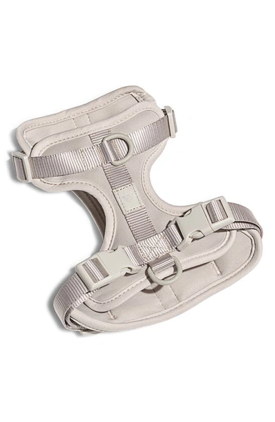Shop Wild One Dog Harness In Gray