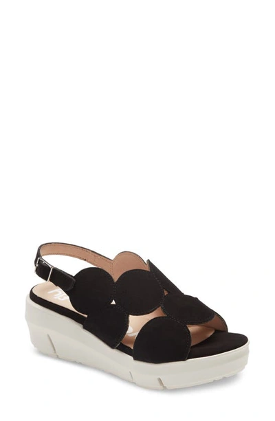 Wonders Platform Sandal In Black Suede
