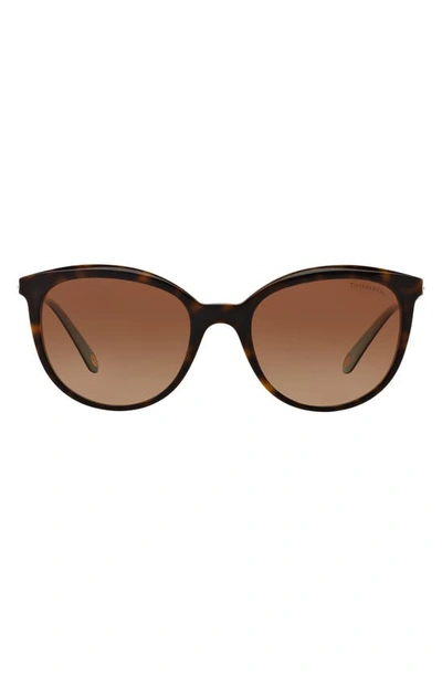 Shop Tiffany & Co 54mm Gradient Cat Eye Sunglasses In Havana/ Blue/ Brown Gradient