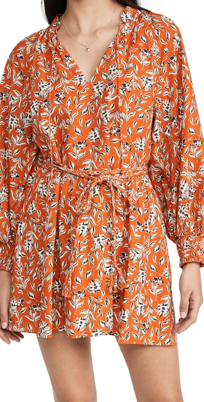 Shop Alice And Olivia Lilian Dress In Free Swinging Sienna