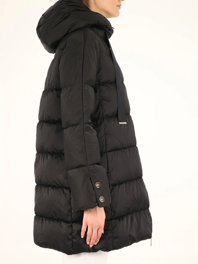 Shop Herno Down Jacket Black