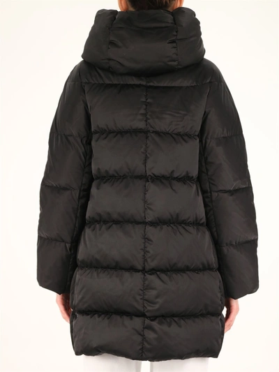 Shop Herno Down Jacket Black