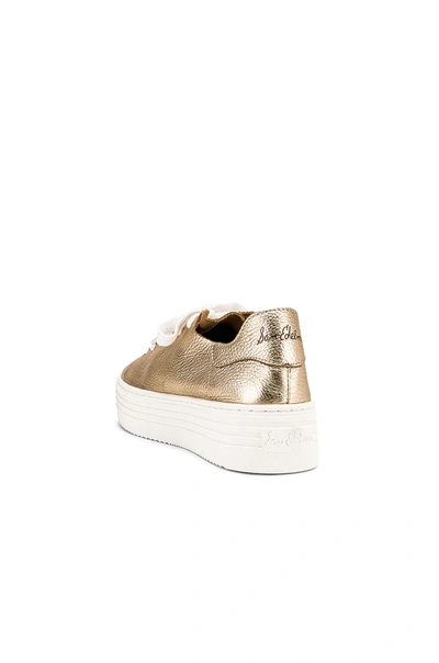 PIPPY 运动鞋 – MOLTEN GOLD