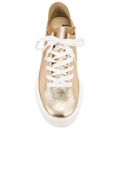 Shop Sam Edelman Pippy Sneaker In Metallic Gold