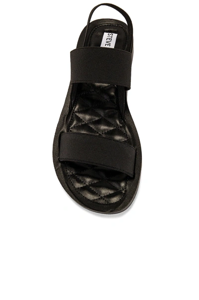 Shop Steve Madden Rafa Sandal In Black