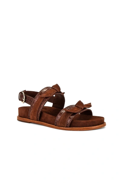 Shop Alexandre Birman Clarita Sport Sandal In Rum