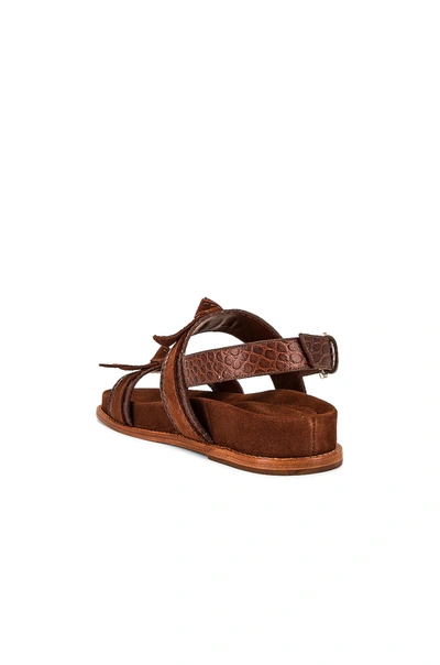 Shop Alexandre Birman Clarita Sport Sandal In Rum