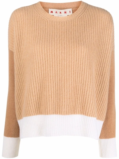 Shop Marni Two-tone Cashmere Sweater In Neutrals