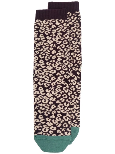 Shop Golden Goose Leopard Print Star-logo Knit Socks In 红色