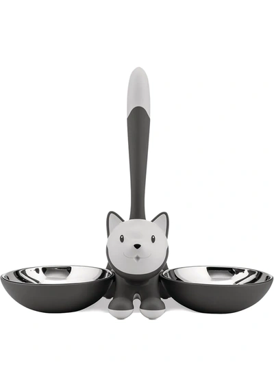 Shop Alessi Tigrito Cat Bowl In Grey