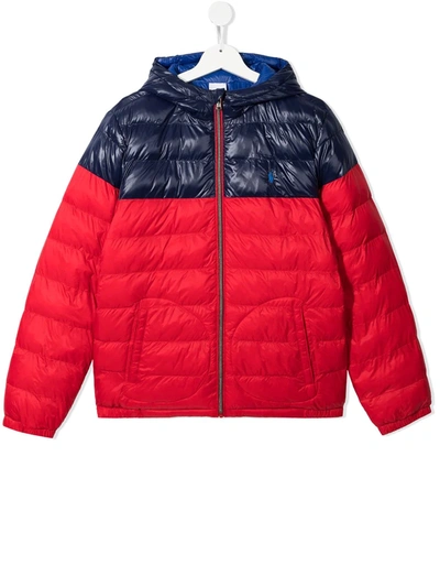 Shop Ralph Lauren Polo Pony Padded Jacket In Red